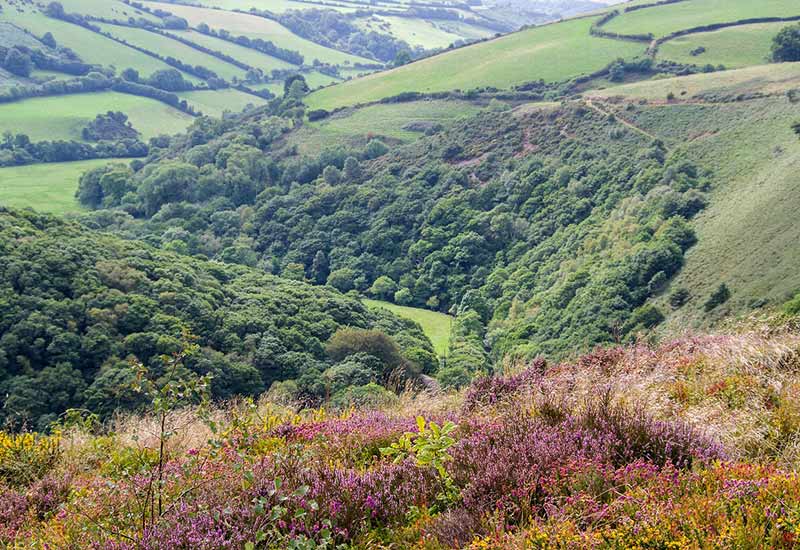 Exmoor National Park